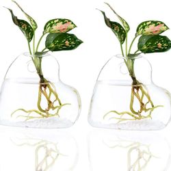 2 Pk Wall Hanging Glass Planter Terrarium Plant Propagation Station Heart Shape Vase for Hydroponic Water Plants