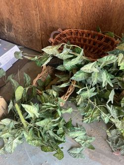 FREE HOUSEHOLD ITEMS