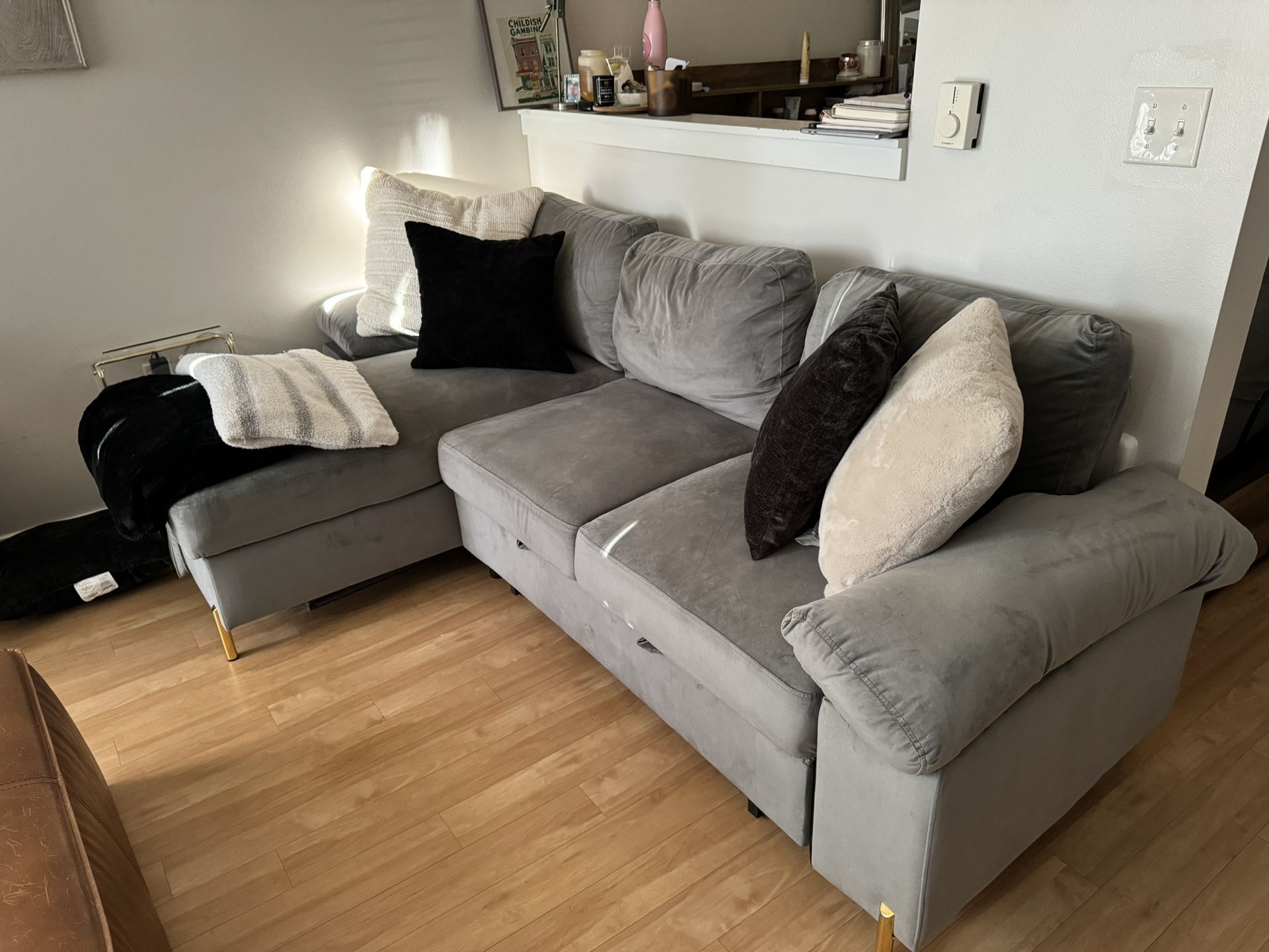 Sofa w/ Storage & Pullout!