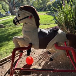 Bouncy Horse 