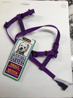 Pet harness