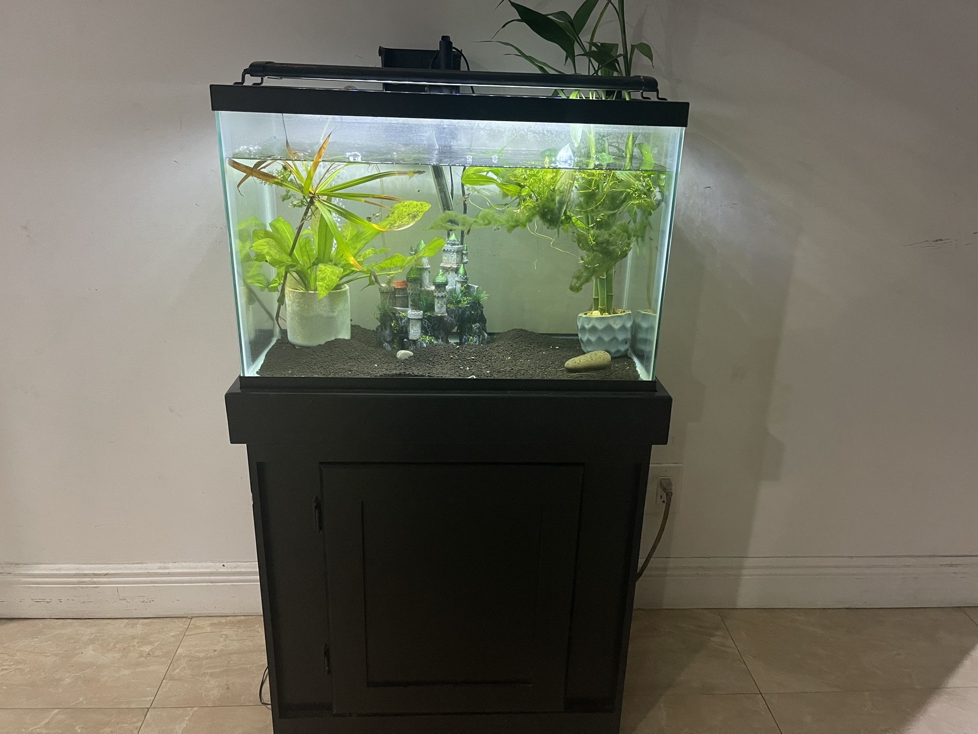 20 Gal Fish Tank Complete