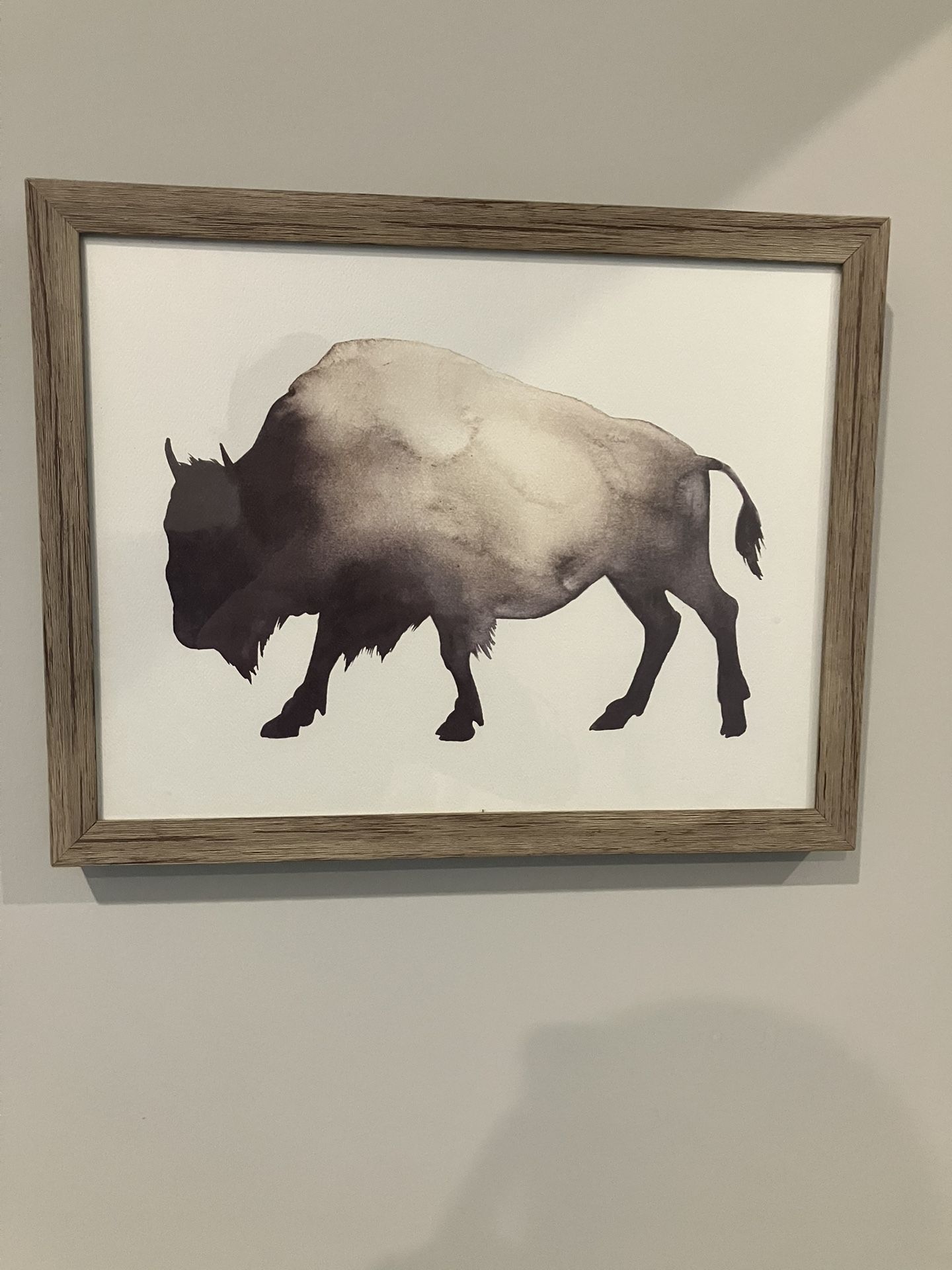 Small Buffalo Picture With Frame