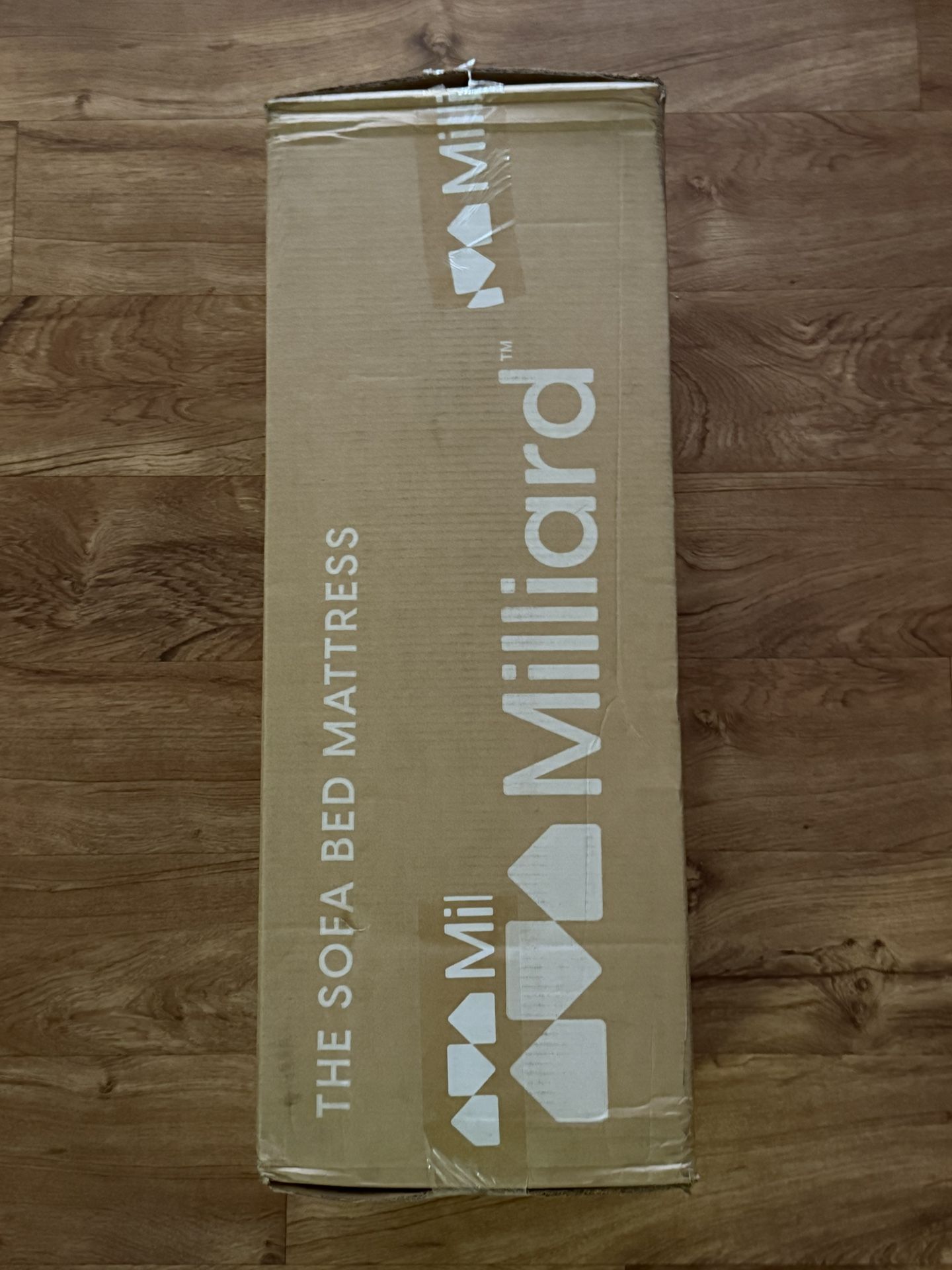 Pull out sofa mattress