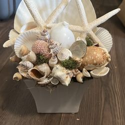 seashell decoration