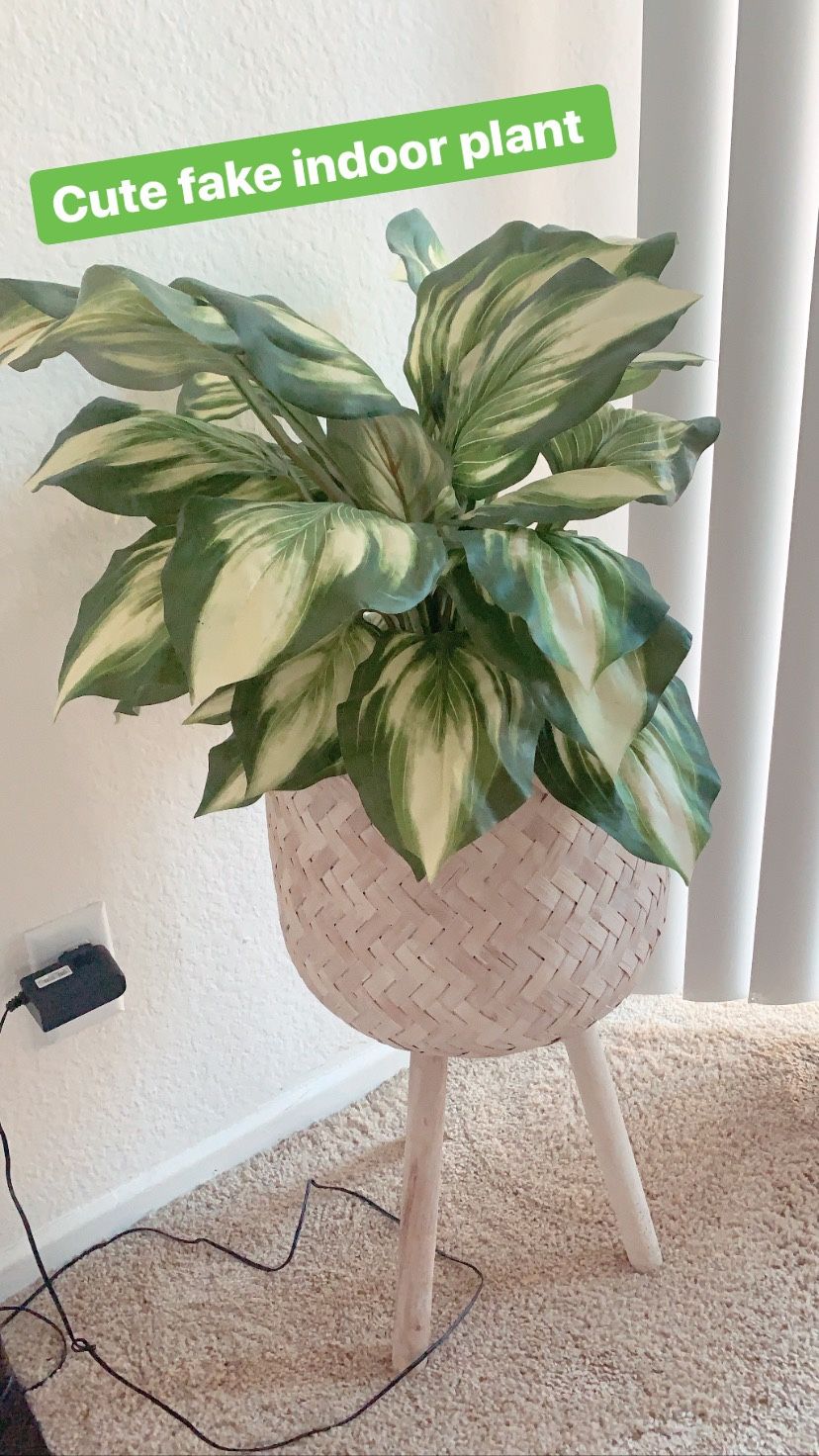 Indoor fake plant