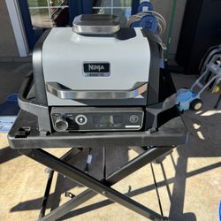 Ninja Woodfire outdoor grill