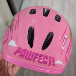 Paw Patrol Toddler Helmet