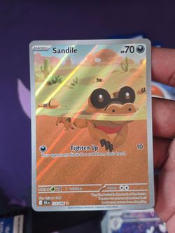 (IVM) sandile ir
