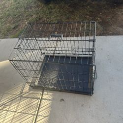 Dog Cagy (medium)