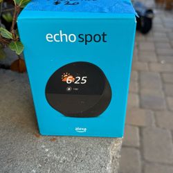 Echo Spot
