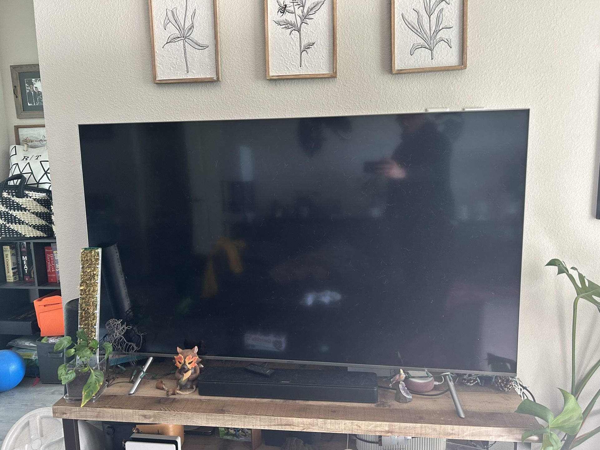 Samsung QN65Q6FNAFXZA 65 Inch