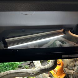 Arcadia Jungle Dawn LED Bar