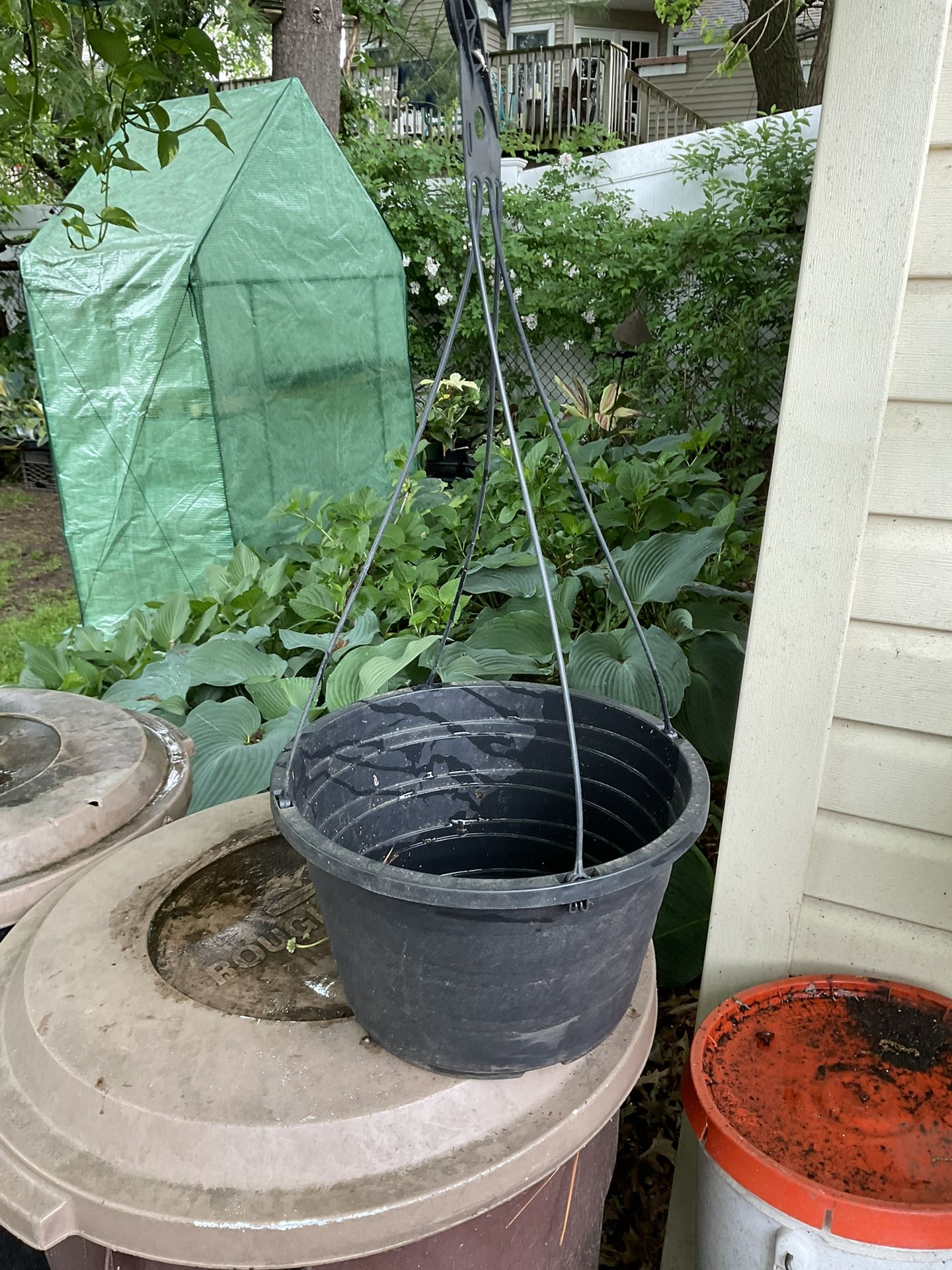 Hanging baskets and pots