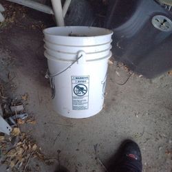 5 Gal Bucket's 