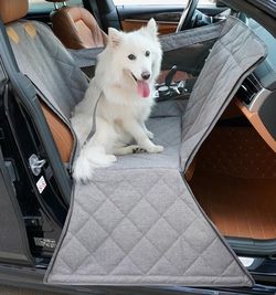 Front Seat Dog Car Seat for Small/Medium Dogs with Door Protection – Full Coverage Pet Booster Seat with Mesh Window, Zippered Side Flaps, Safety Buck