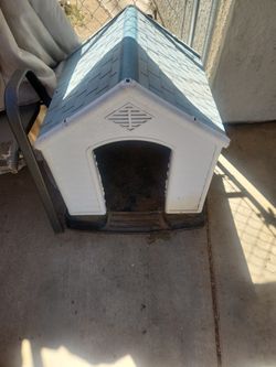 Dog House