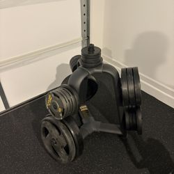 Weight Tree (Weights Not Included)