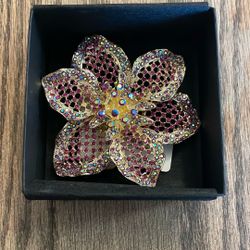 Beautiful Natasha Couture Brooch Pin