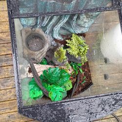 Reptile Tank 