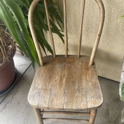 Extremely valuable Chairs 