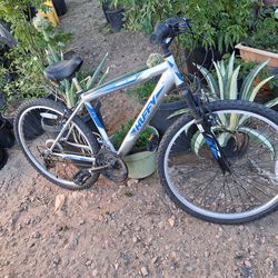 Mountain  bike  $49.99