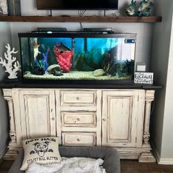 75 Gal Fish Tank 