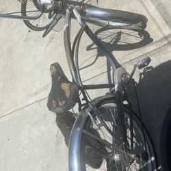 Schwinn Beach Cruiser