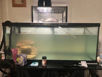 Turtle tank aquarium