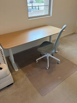 Up&Down Desk, Chair and Carpet Protector