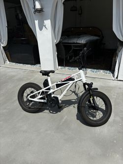 Fucare Gemini X Ebike Single Hub Motor