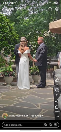 Davids Briadal Wedding Dress