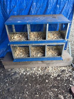 6 Hole Metal Chicken Nesting Box