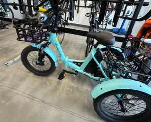 Mooncool Electric Folding Trike TK1