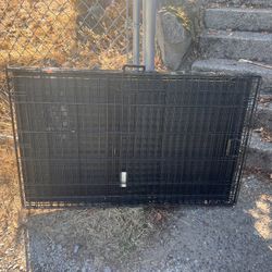 Dog Kennel