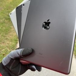 iPads 5 / 6 / 8 / Pro