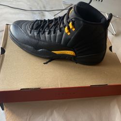 Jordan 12 Taxis 