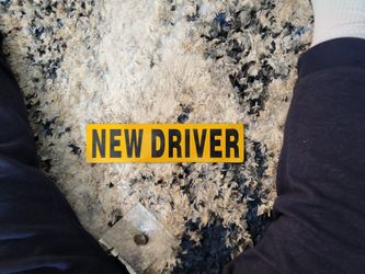 Magnetic New Driver Sign 