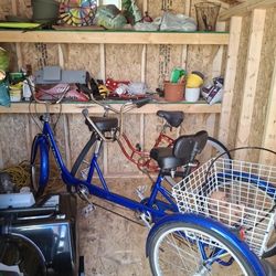3 Wheel Bike 