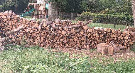 Firewood Seasoned Red and White Oak
