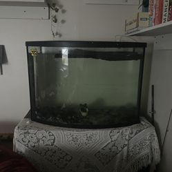Aquarium Tank 