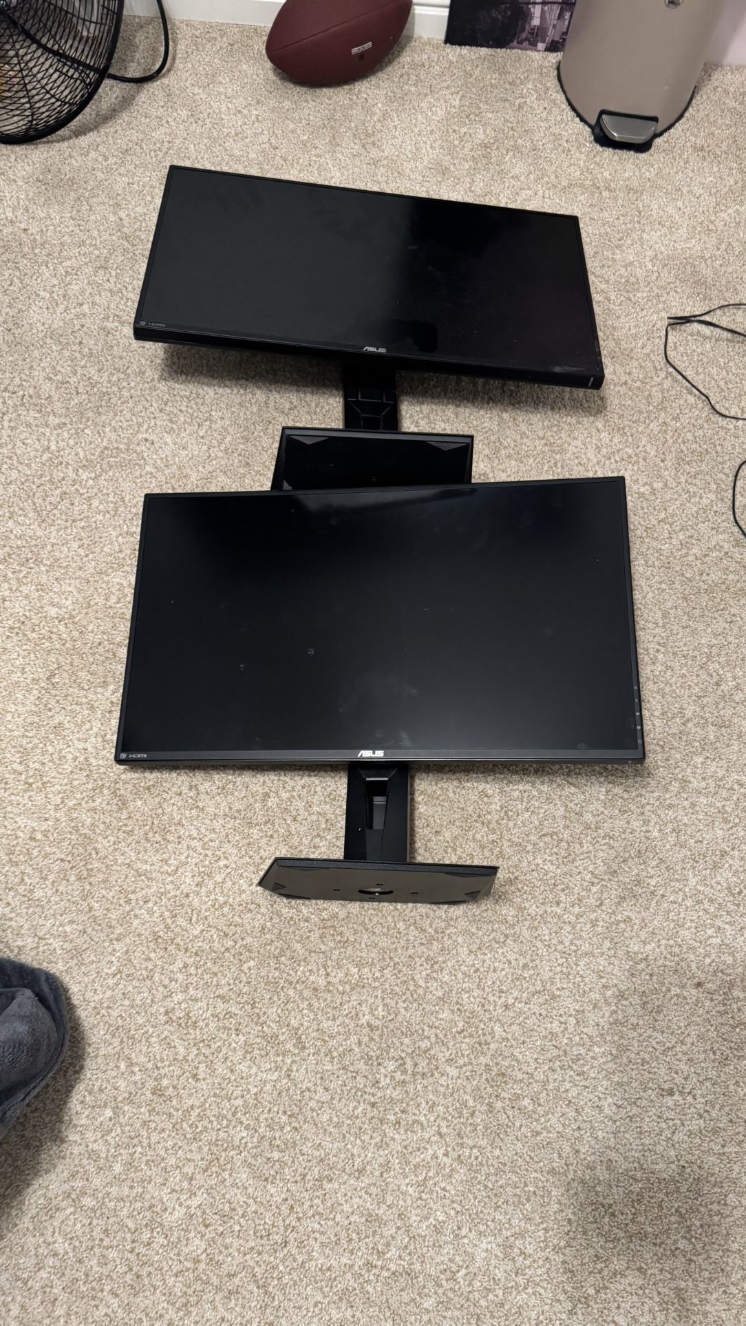 Asus Monitor
