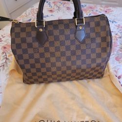 Gorgeous Speedy LV Purse