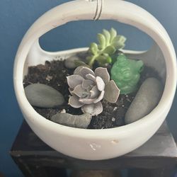 Ceramic Hanging Basket 