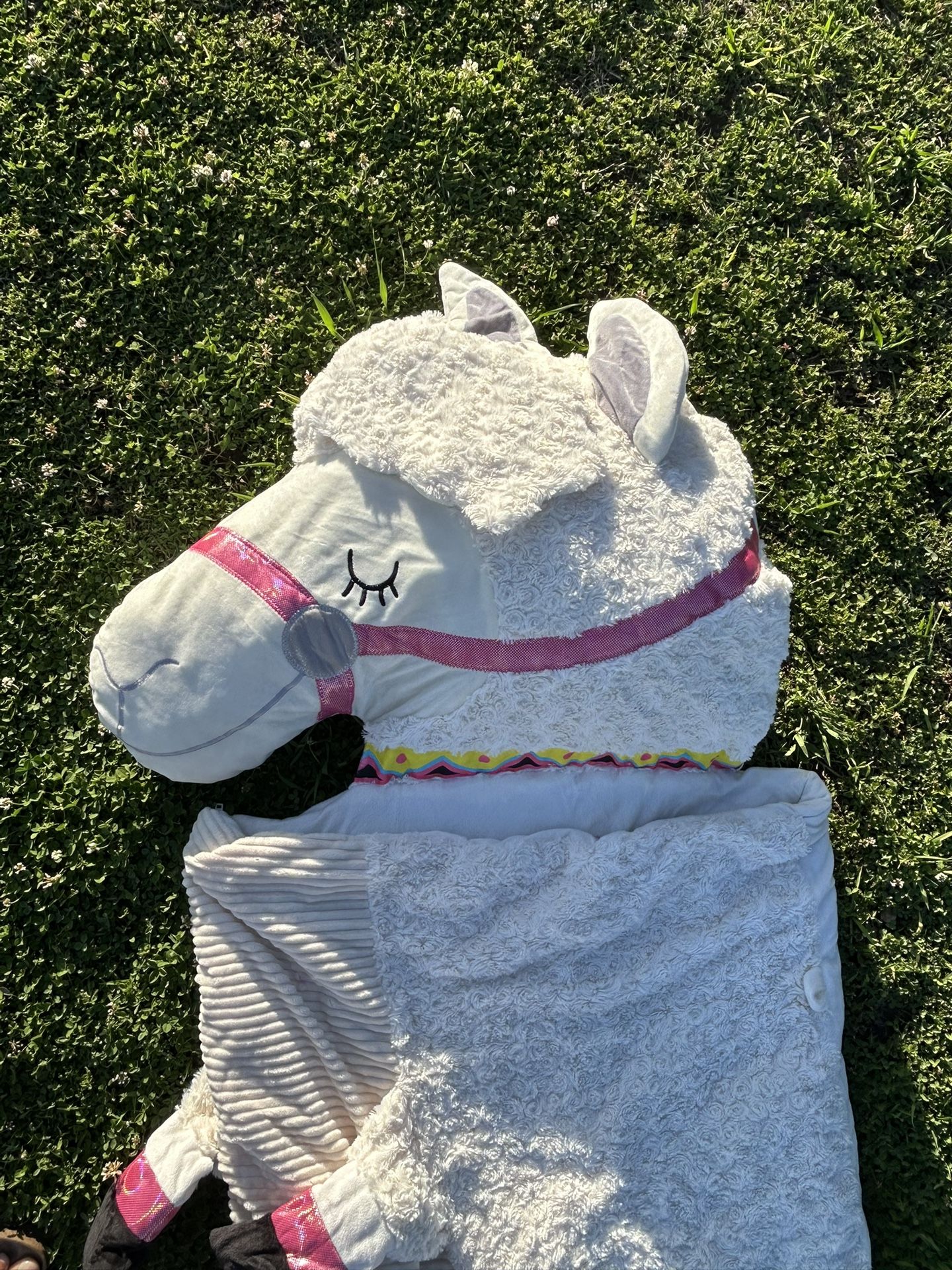 Sleeping Bag