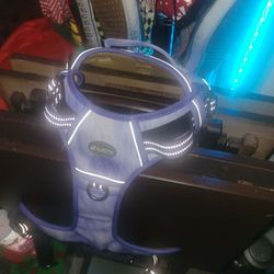 Large Dog Purple Harness