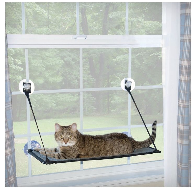 New Cat Window Perch Bed in Logan Square $25