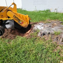 Stump Grinding 