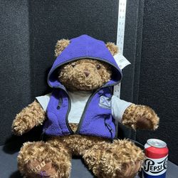 Whats Your Wish Gund Teddy Bear Plush 25” 2000 Joy Purple Fleece Vest Wish Bear