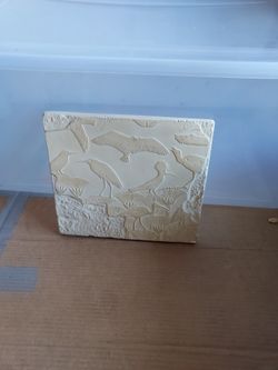 Egyptian Birds In Delta Marshes